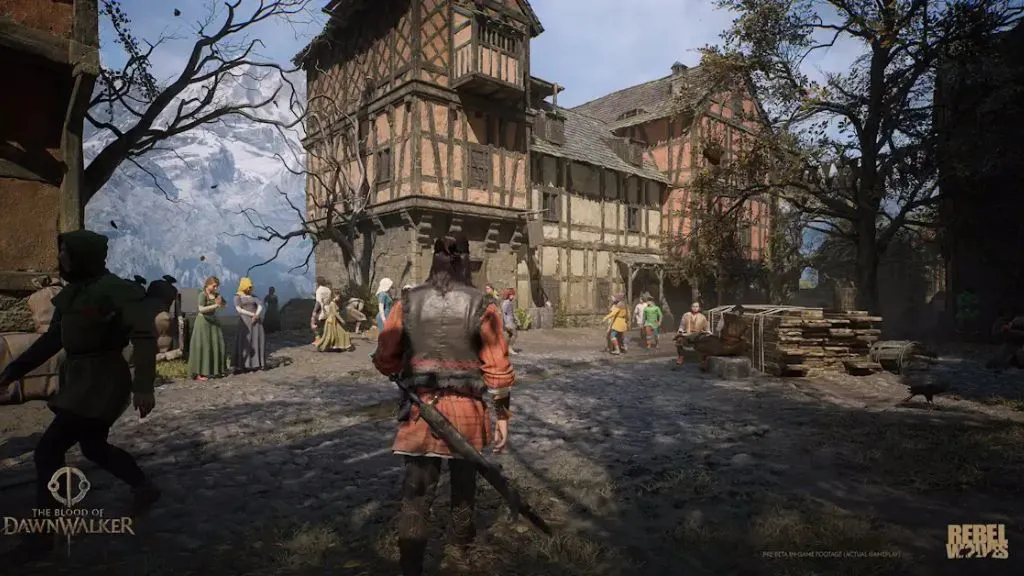 Medieval village scene from The Blood of Dawnwalker