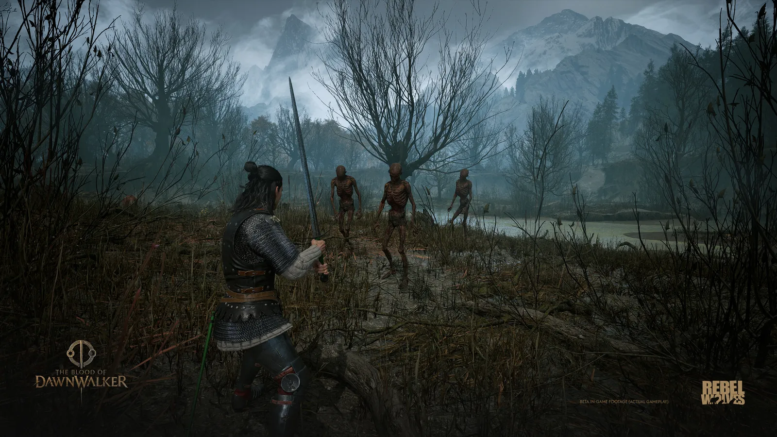 The world of Vale Sangora in The Blood of Dawnwalker - dark fantasy landscape of Tantari Woods and the Northern Swamps